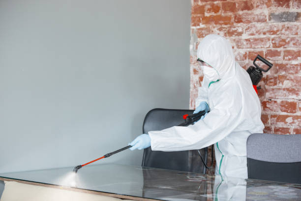 Mold Documentation for Insurance Claims in South Barrington, IL